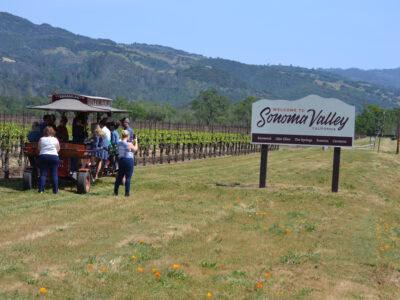 The Sonoma Valley Wine Region And Appellation Sonoma County Tourism