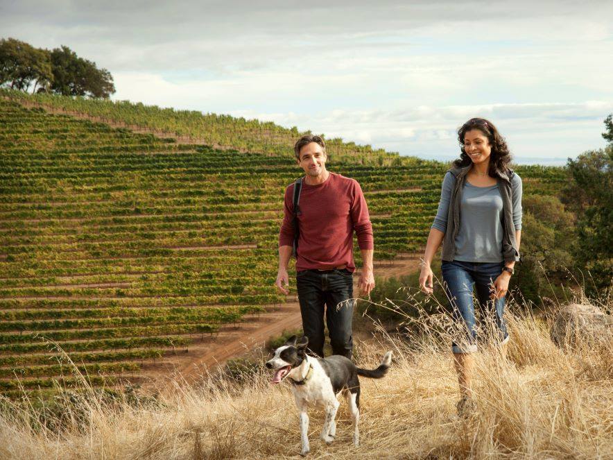 Couple hiking through vineyards