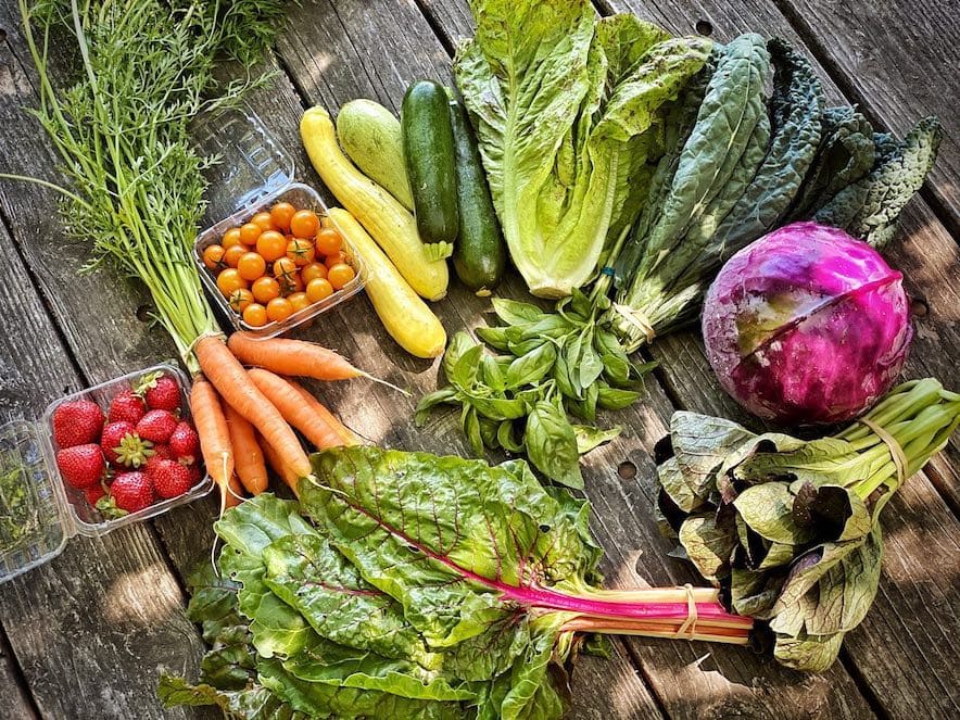 Summer produce from Singing Frogs Farm