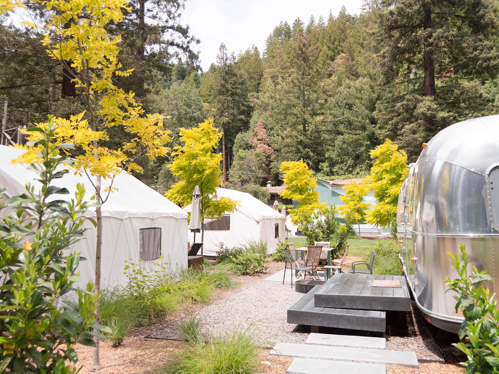 Silver airstream trailers are surrounded by trees