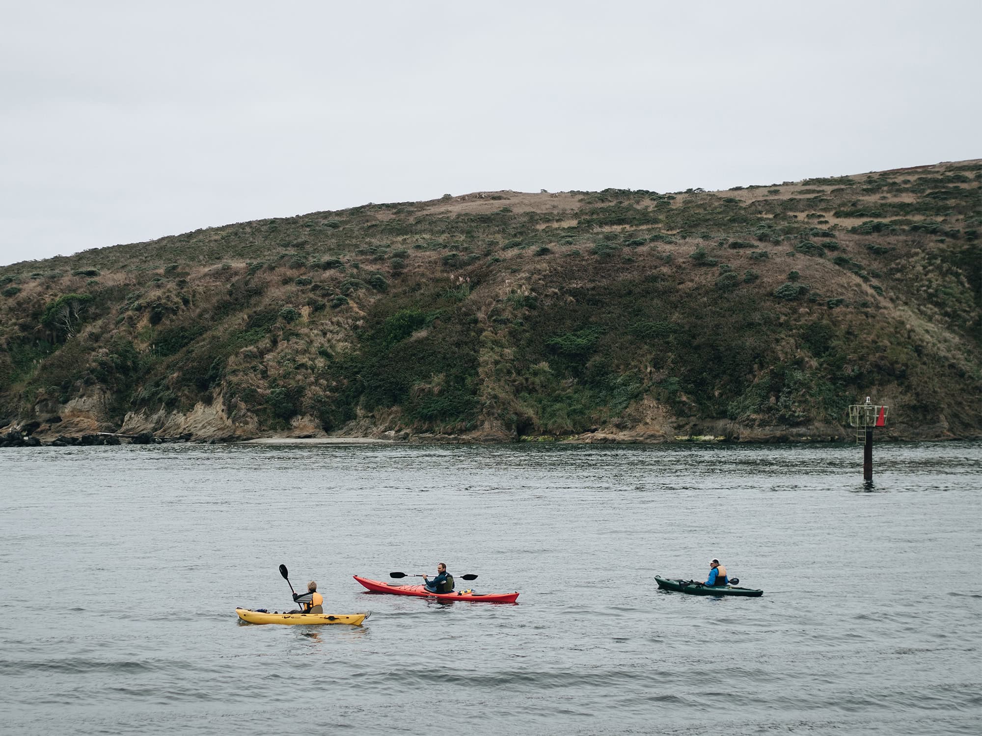 Kayakers paddle in the calm waters on Bodega Bay