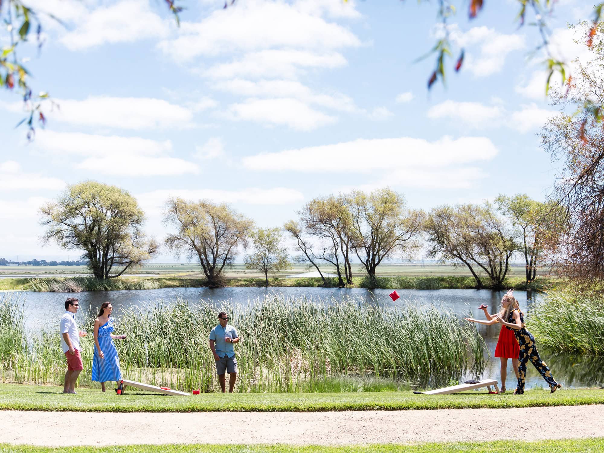 People playing games outside next to pond at Ram's Gate in Sonoma County