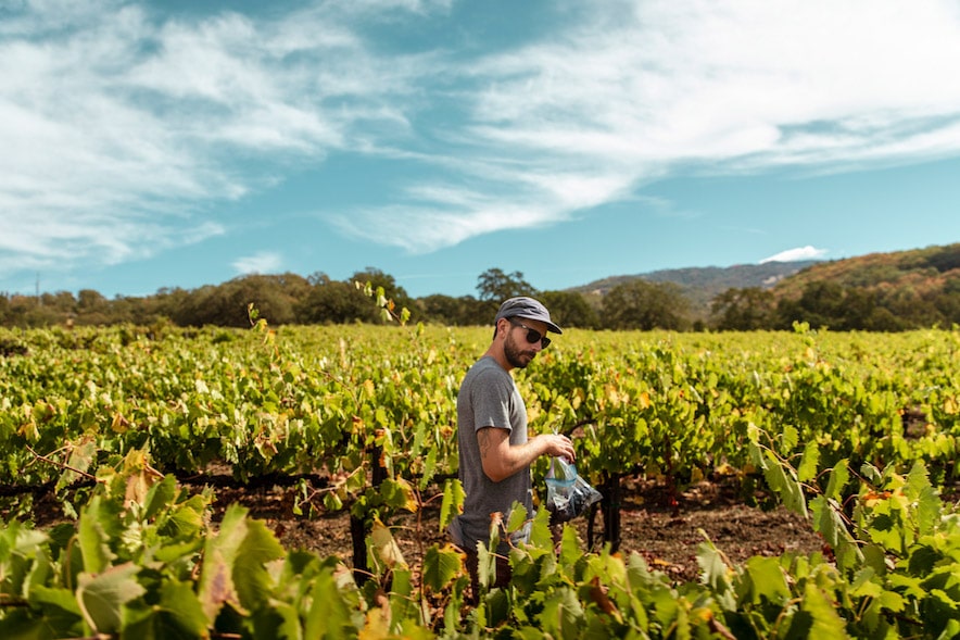 Winemaker Evan Lewandowski out in the vineyard 