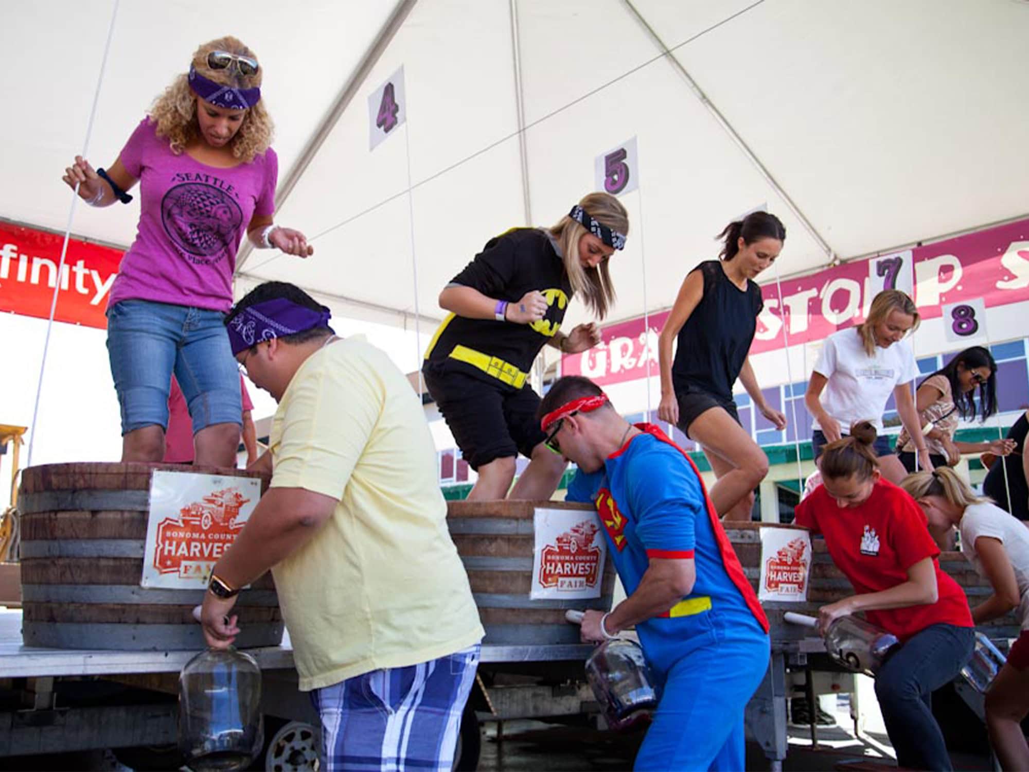 Sonoma County Harvest Fair