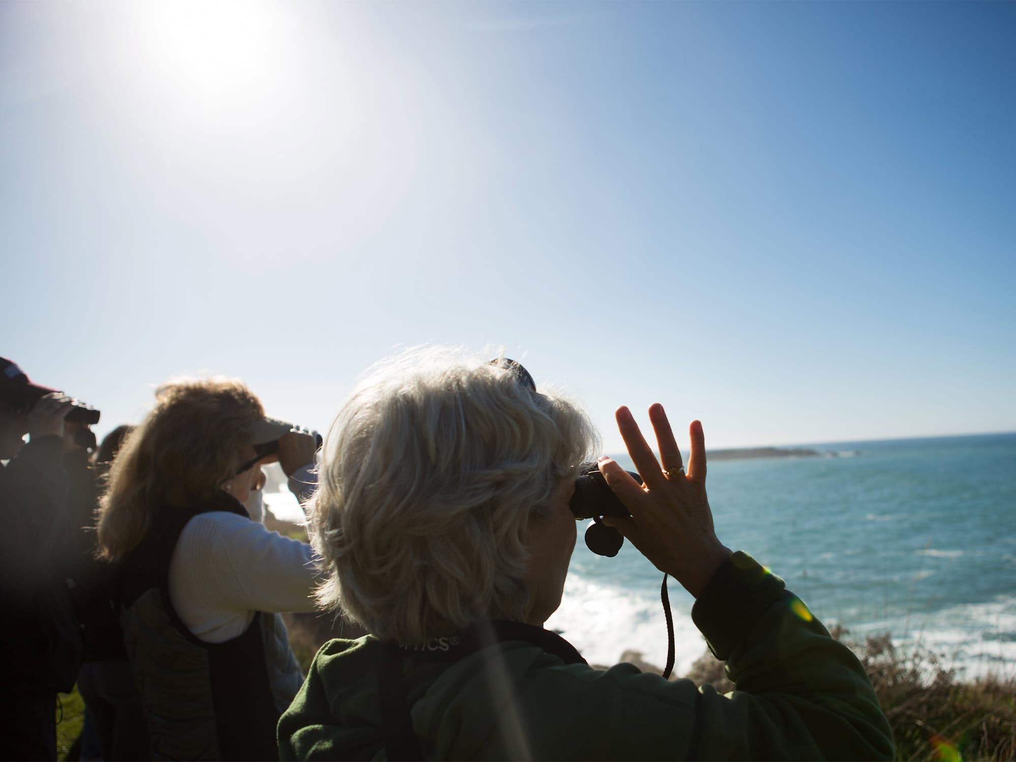 People look through binoculars out on the Sonoma Coast