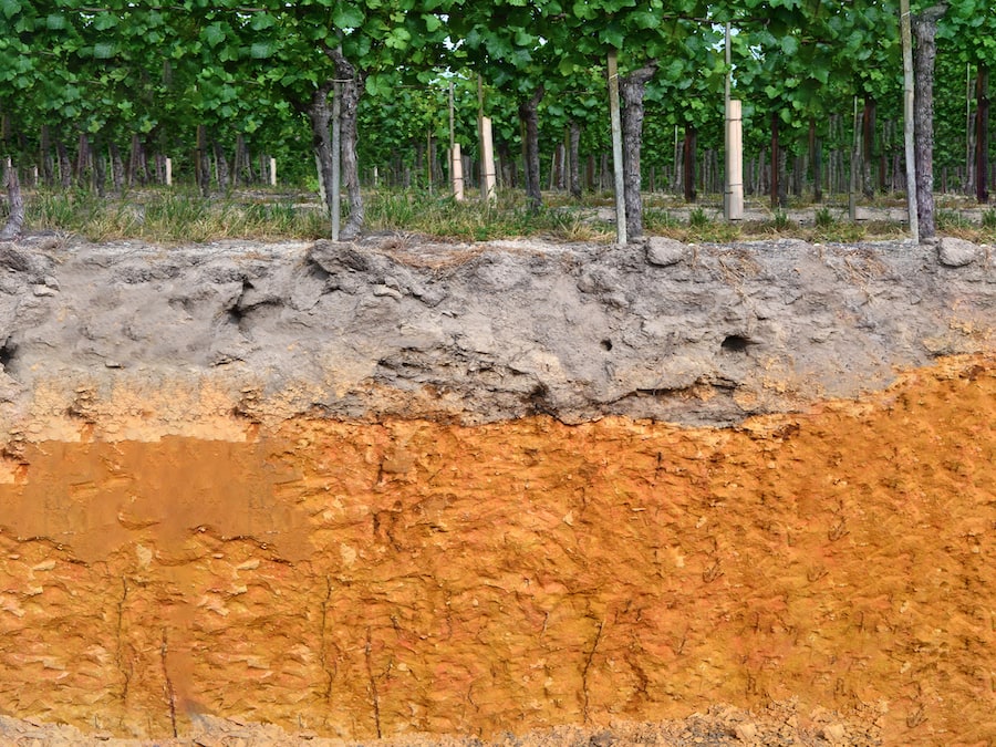 Layered view of sandy-clay-loam Goldridge soil at Hallberg Ranch in Sebastopol, California 