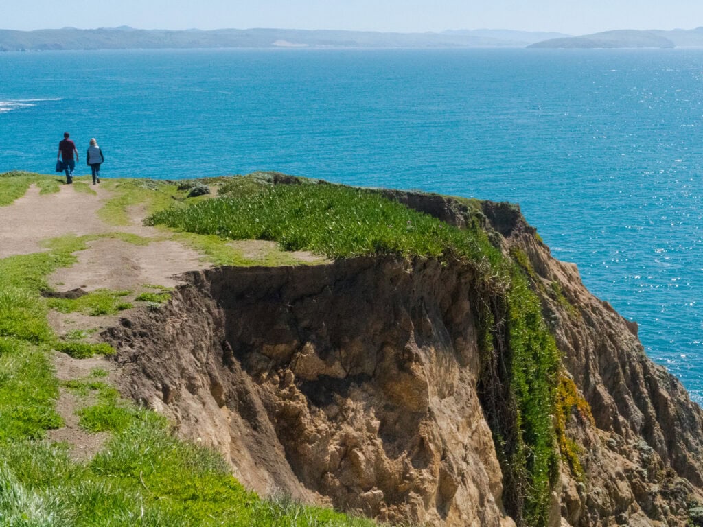 people walking bodega head state park in sonoma county