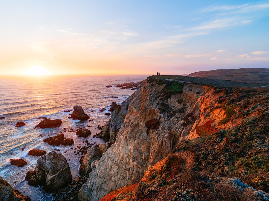 Bodega Head