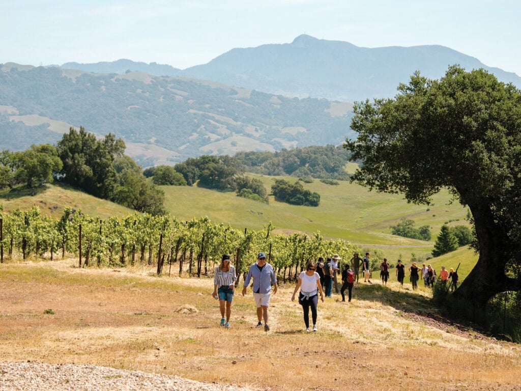 Vineyard hike at Jordan Winery in Healdsburg