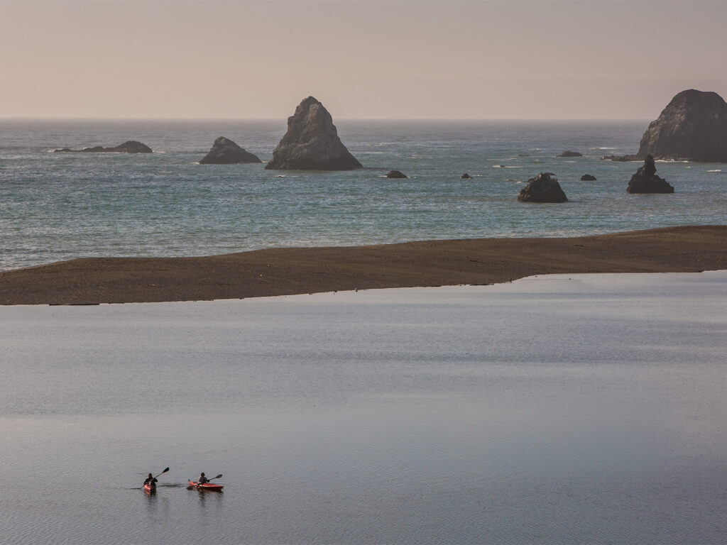 people kayaking Jenner where the river meets the sea