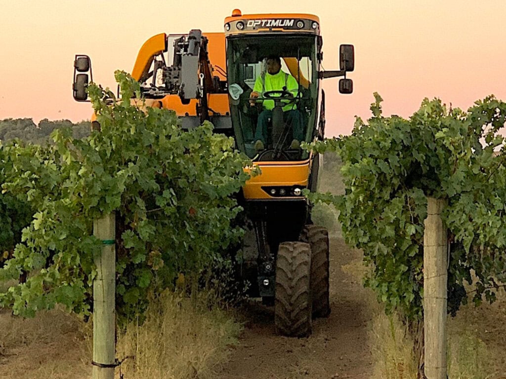 Machine harvest of grapes in Sonoma County