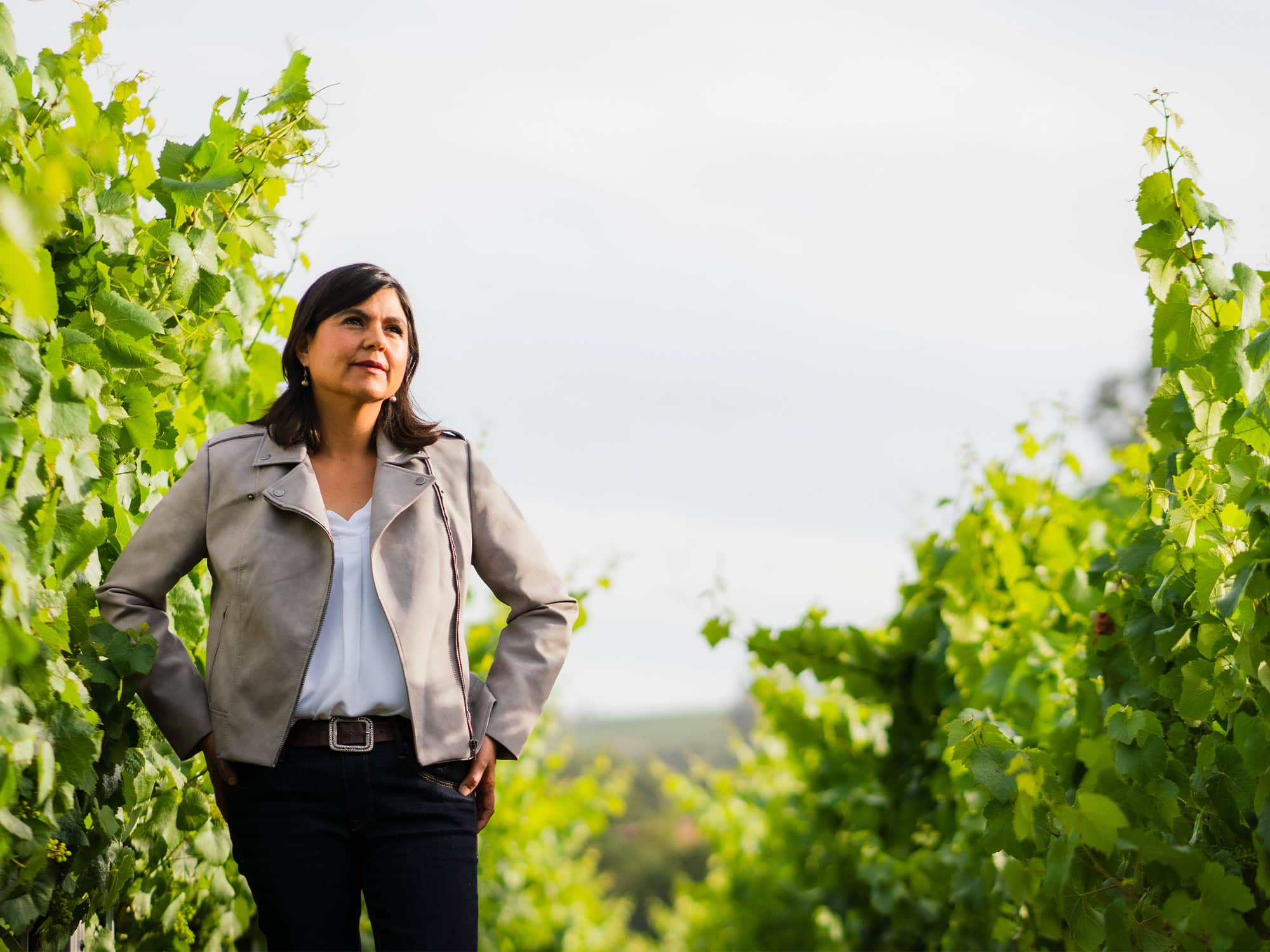 Matanzas Creek Santa Rosa Winemaker Marcia Monahan Sonoma County