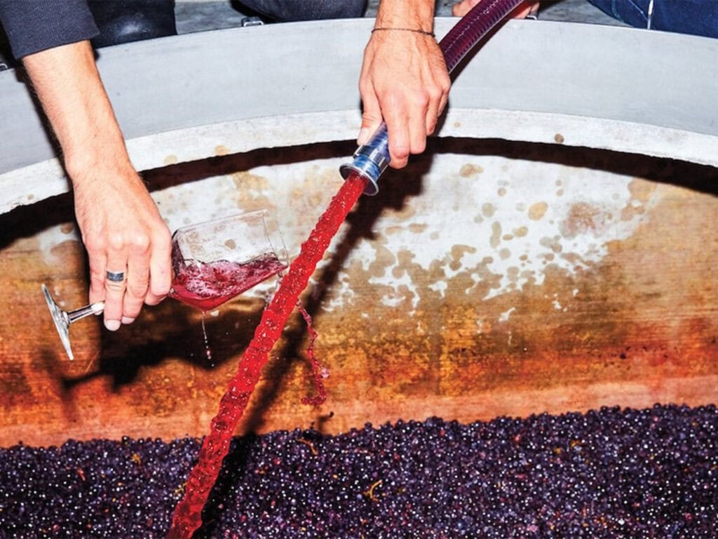 Pumpover of red grape juice and skins