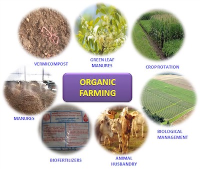 Organic Farming chart