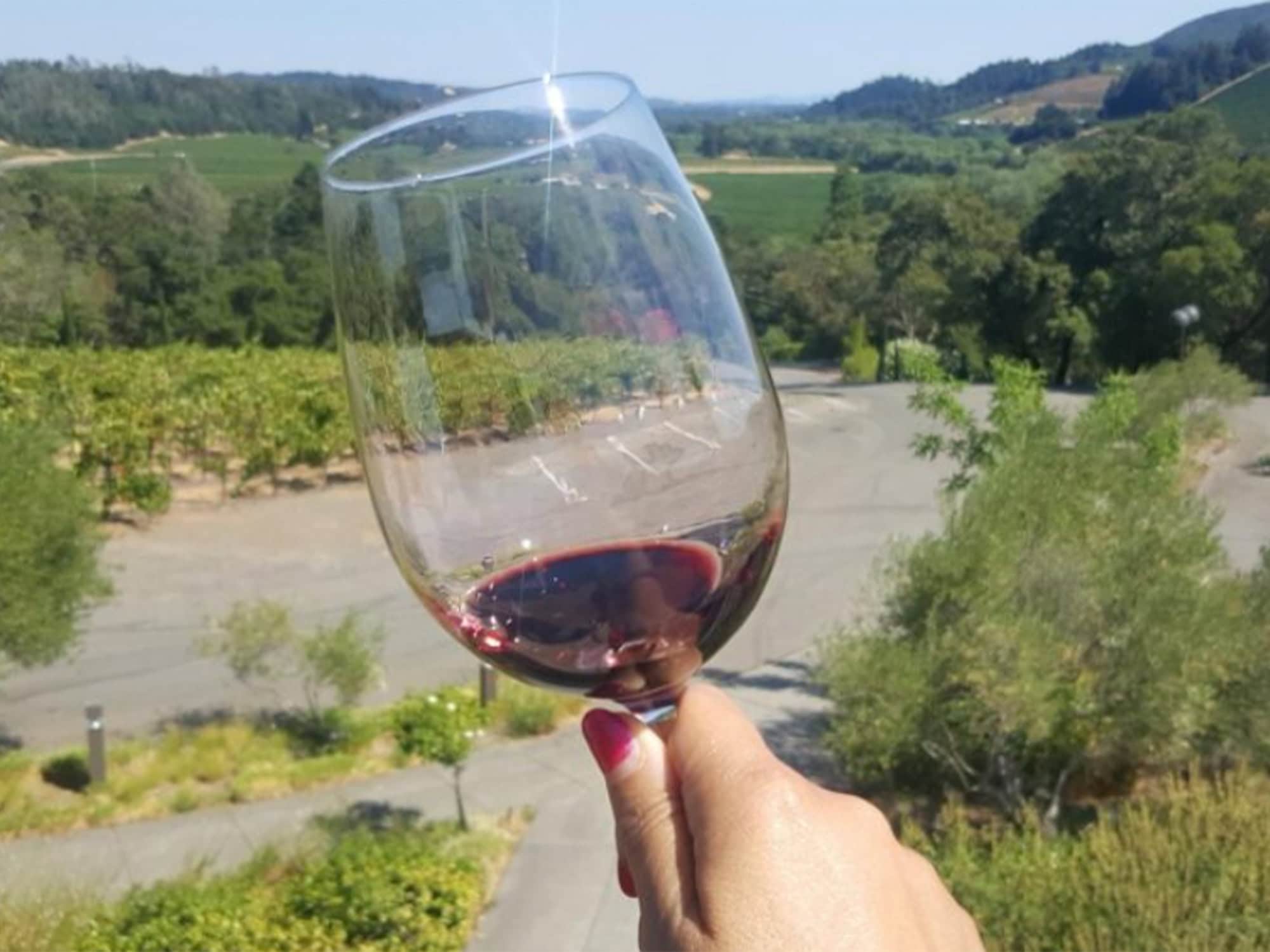 Red wine with a scenic view in Sonoma County