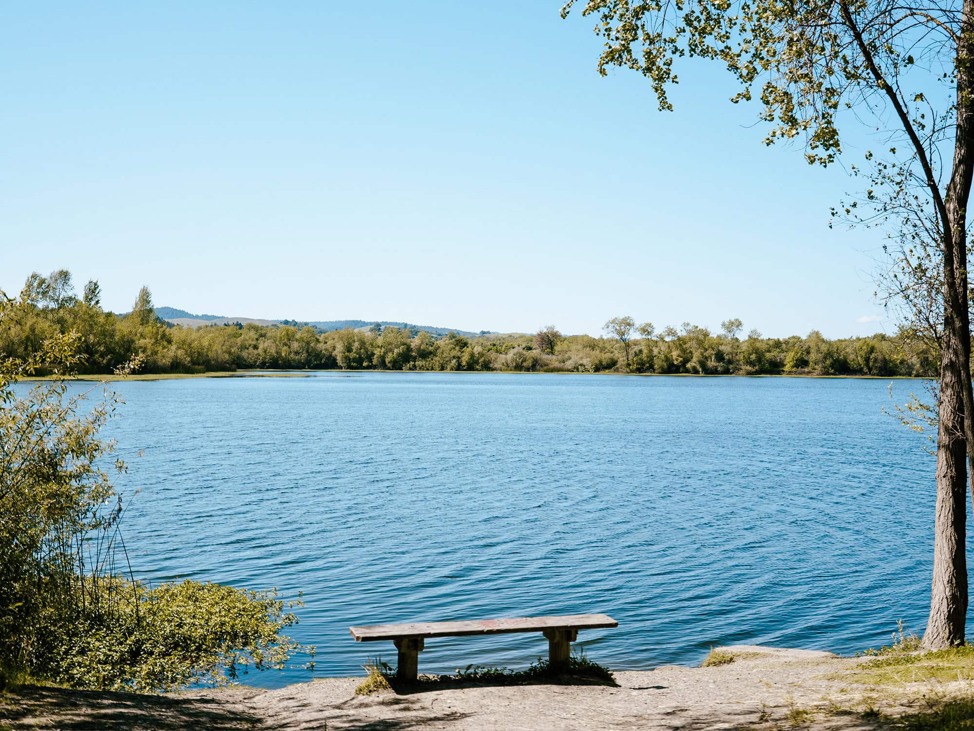 The Russian River at Riverfront Regional Park