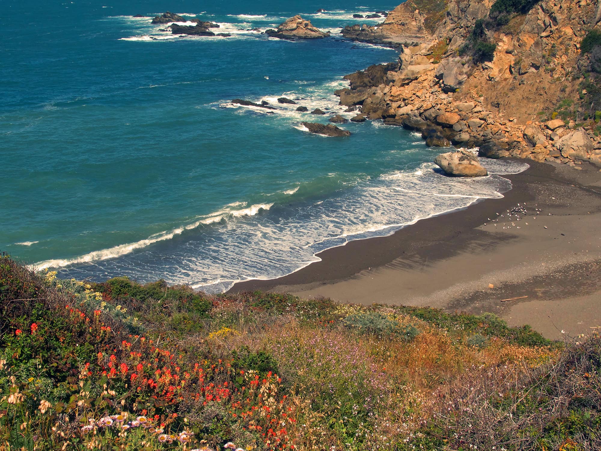 scenery view of the coast at salt point state park