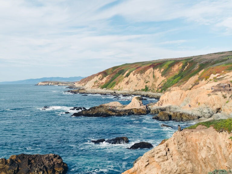 scenic photo of the coast line at bodega head