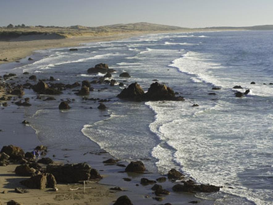 South Salmon Creek Beach on the Sonoma Coast 