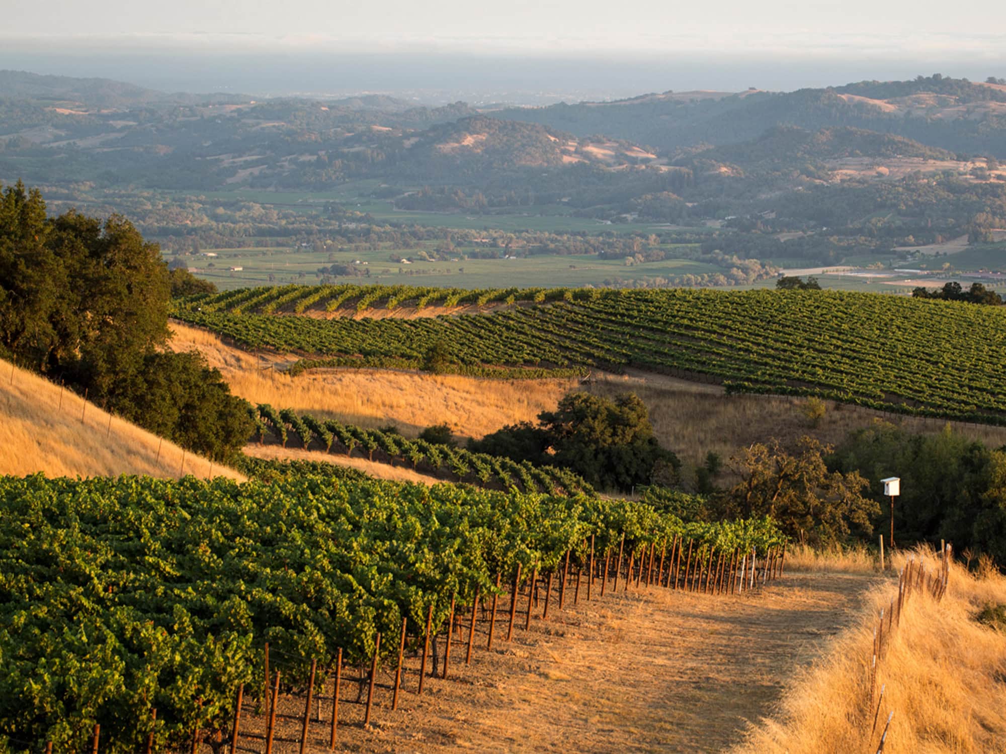 Stonestreet Estate Vineyards, Alexander Valley, Healdsburg