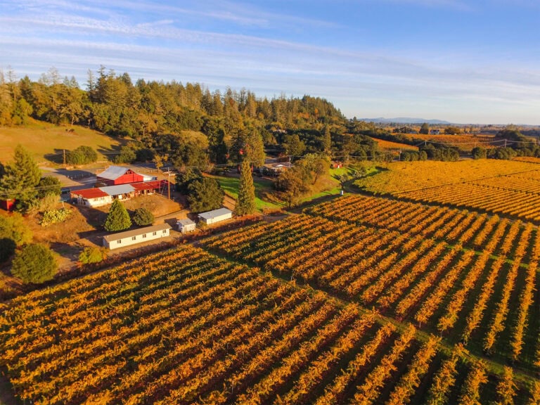 Fall colors of Wilson Winery in Dry Creek Valley AVA