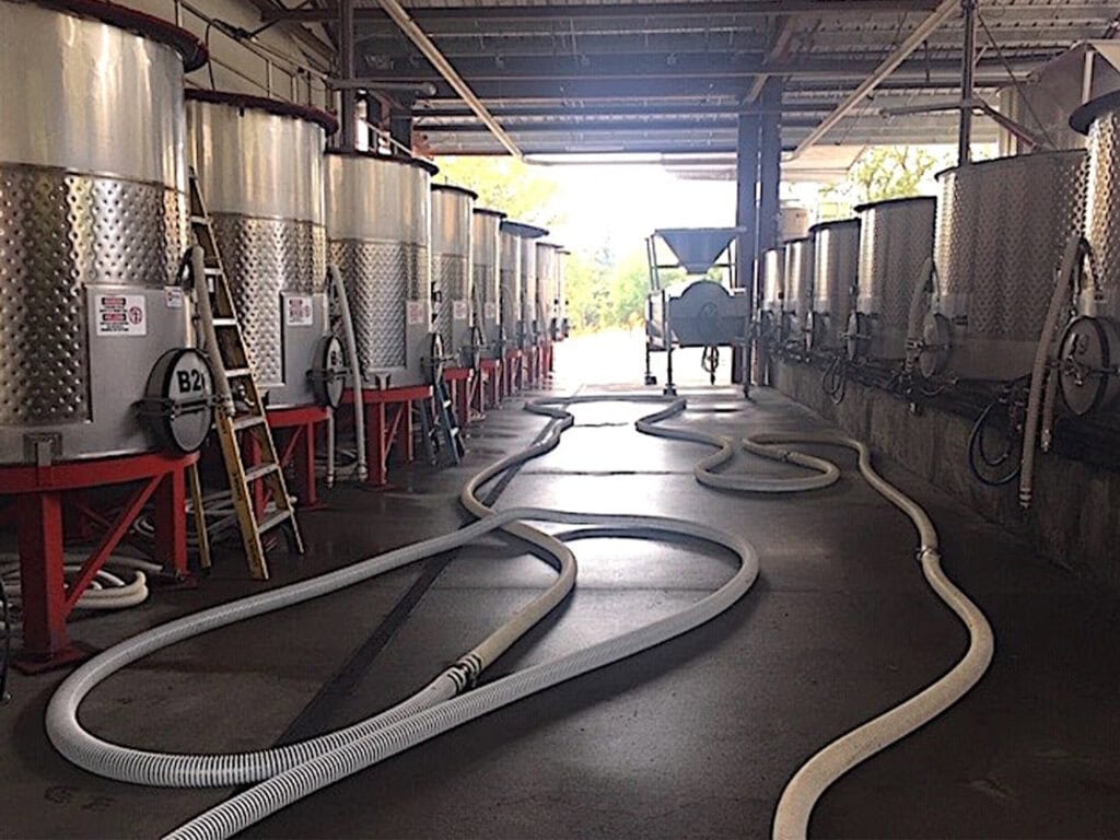 wine making process in Sonoma County