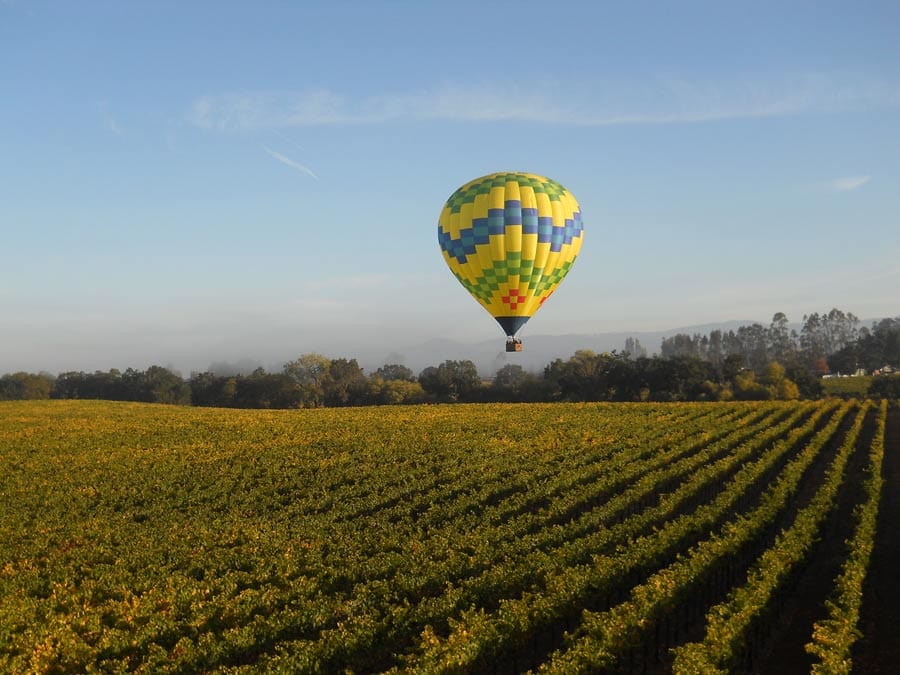 A hot air balloon soars above rolling vineyards