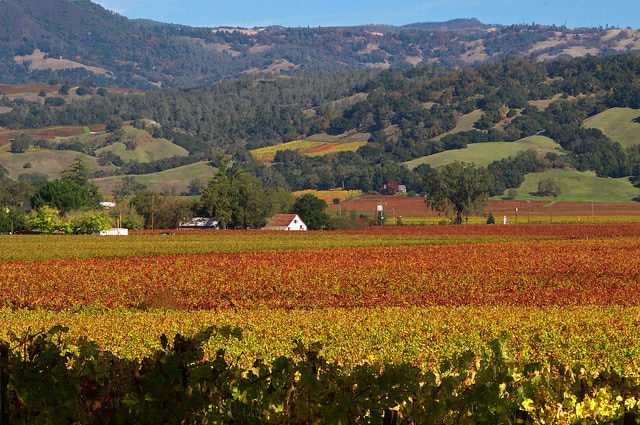 Alexander Valley