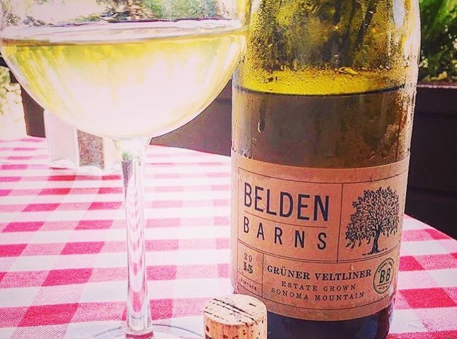 Belden Barns grows the only Gruner Veltliner in Sonoma County