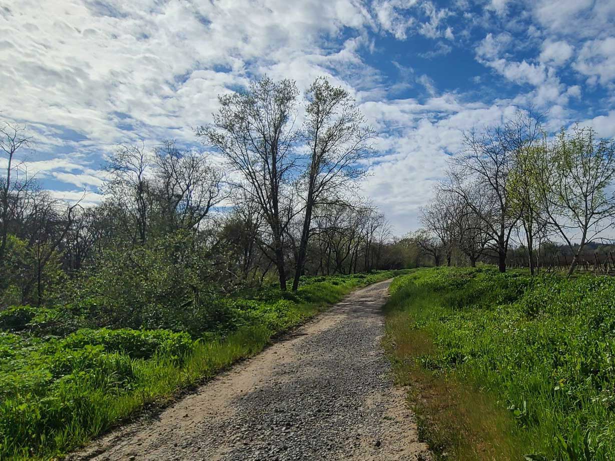 Santa Rosa Creek Trail