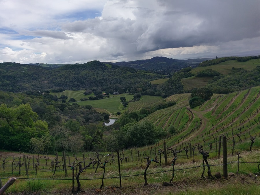 Sonoma looking toward Napa