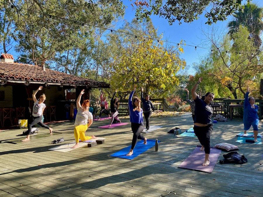 Outdoor yoga session in Sonoma with Body Flows 