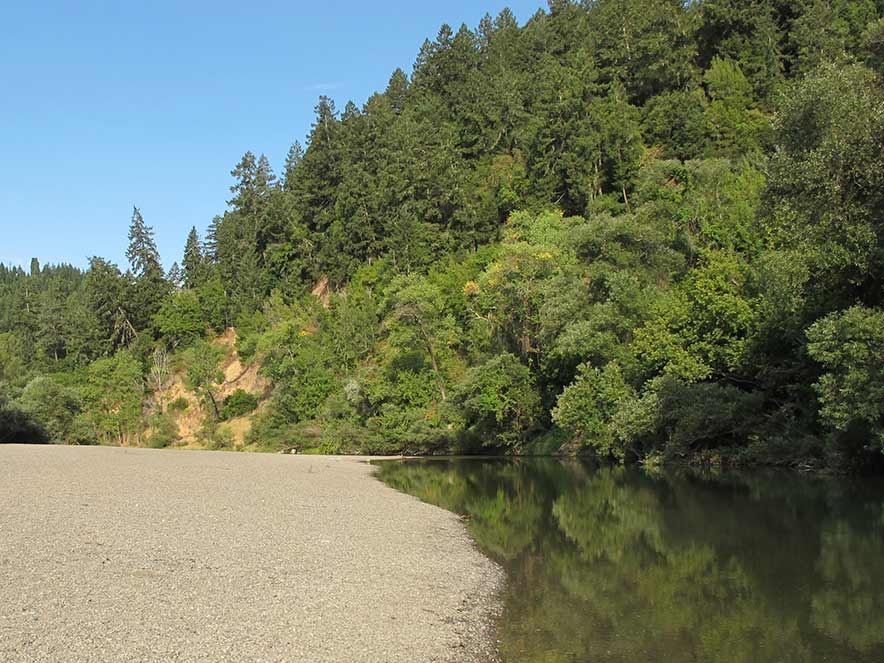 Russian River beach in Forestville