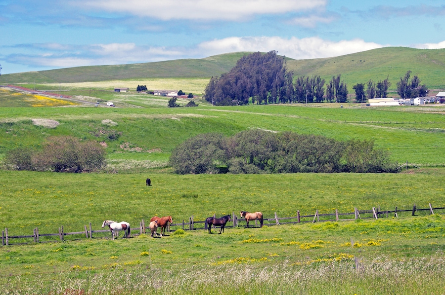 Bike the backroads of Valley Ford for gorgeous rural views 