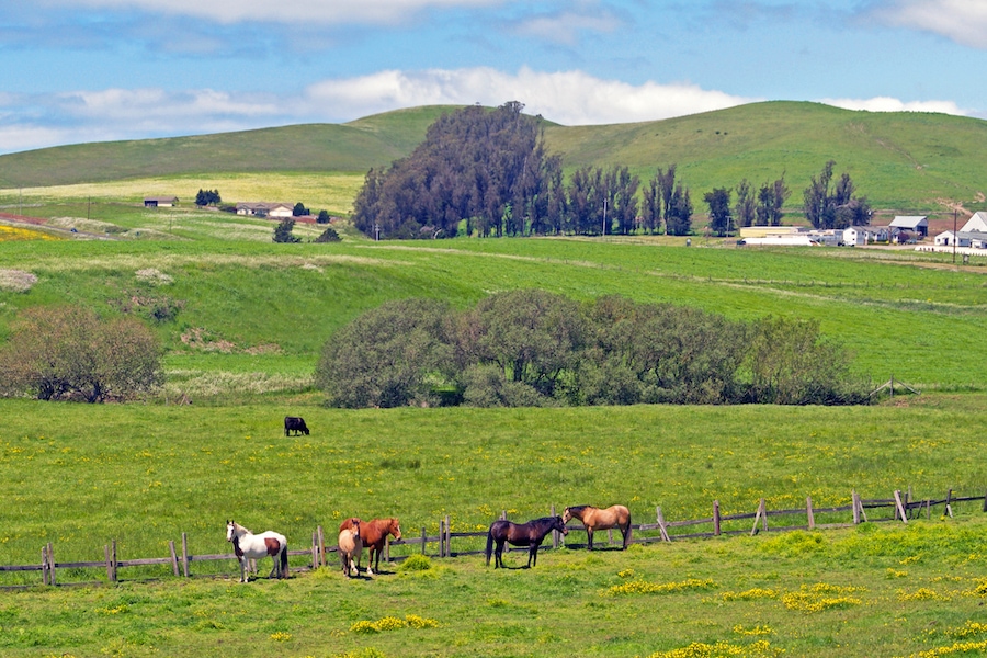 Lovely, rural Valley Ford was once the territory of the Coast Miwok