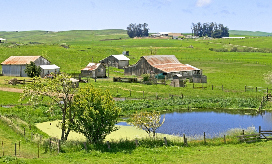 Valley Ford is Northern California ranching country 