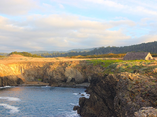 sea ranch northern sonoma coast