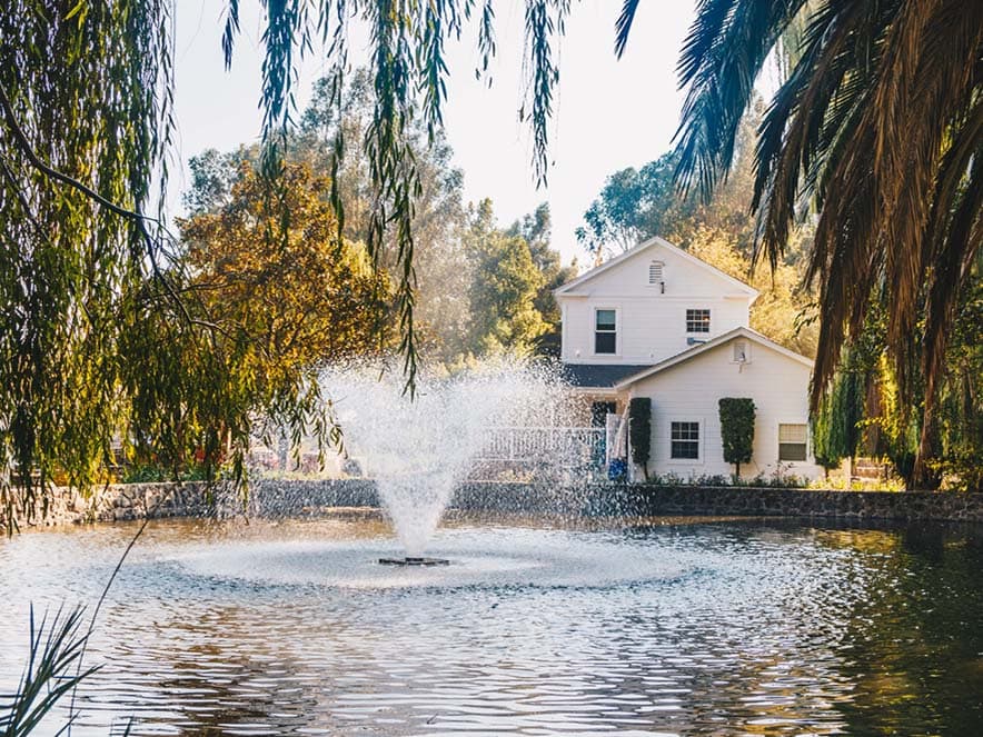 pond with fountain in the middle in front of white house with trees around