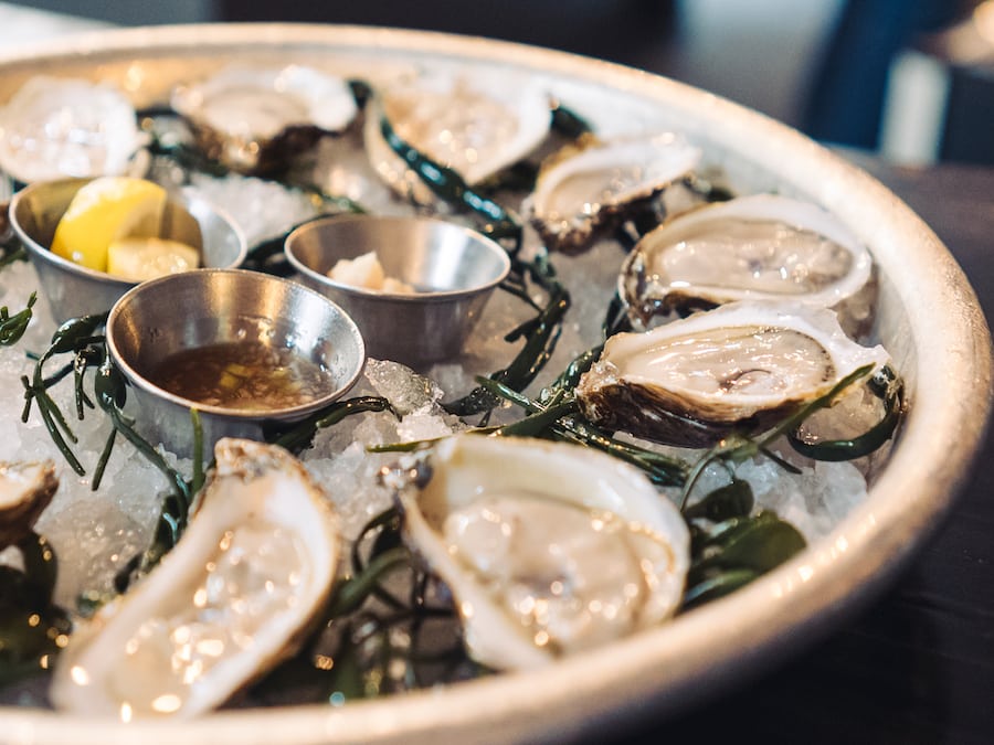 Closeup of a platter of fresh oysters at The Shuckery in Petaluma