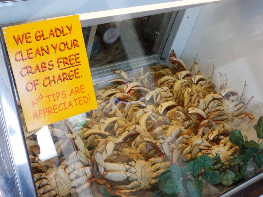 Crabs inside a case ready to be purchased