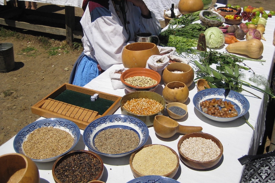 Indigenous foods and tools displayed during the Fort Ross Festival 