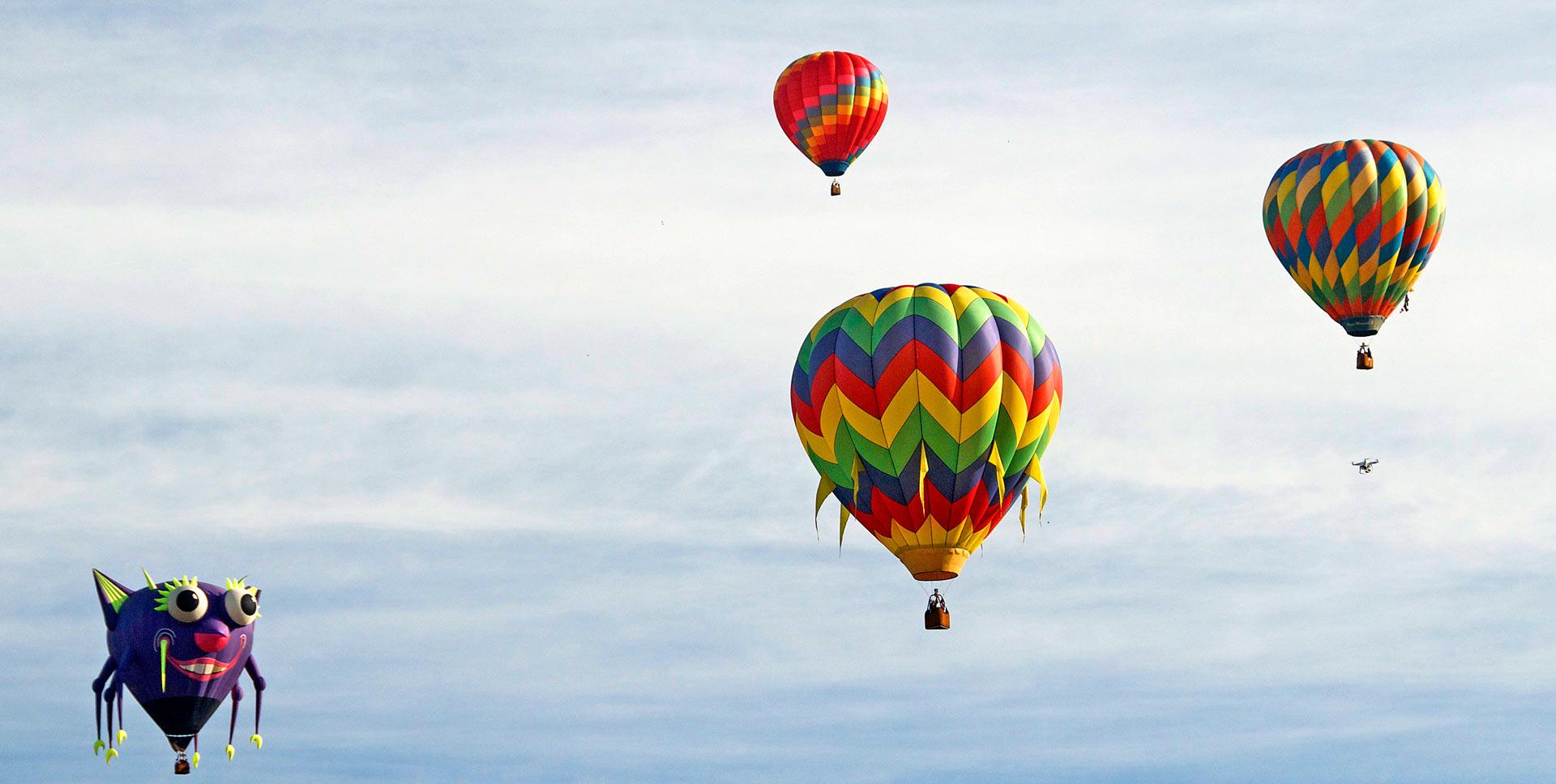 Hot air balloons soaring above Sonoma County