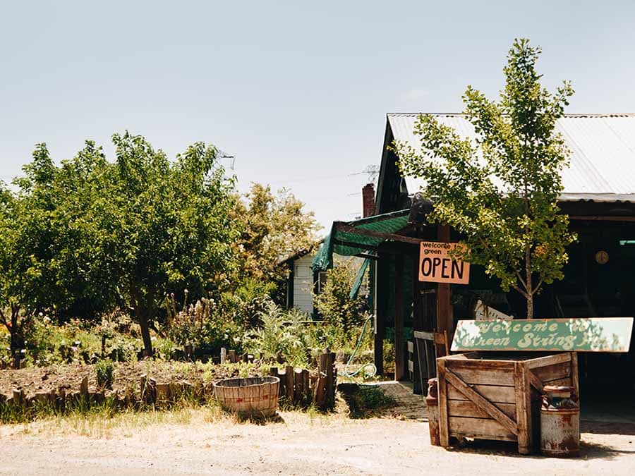 exterior green string farm wood building with orchard strees