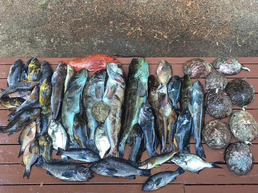 Higher tides in the off-season increase your chances of a great Sonoma Coast fishing haul 