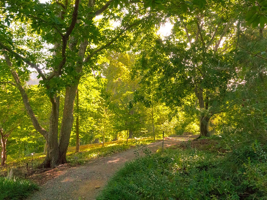 quarryhill gardens trail