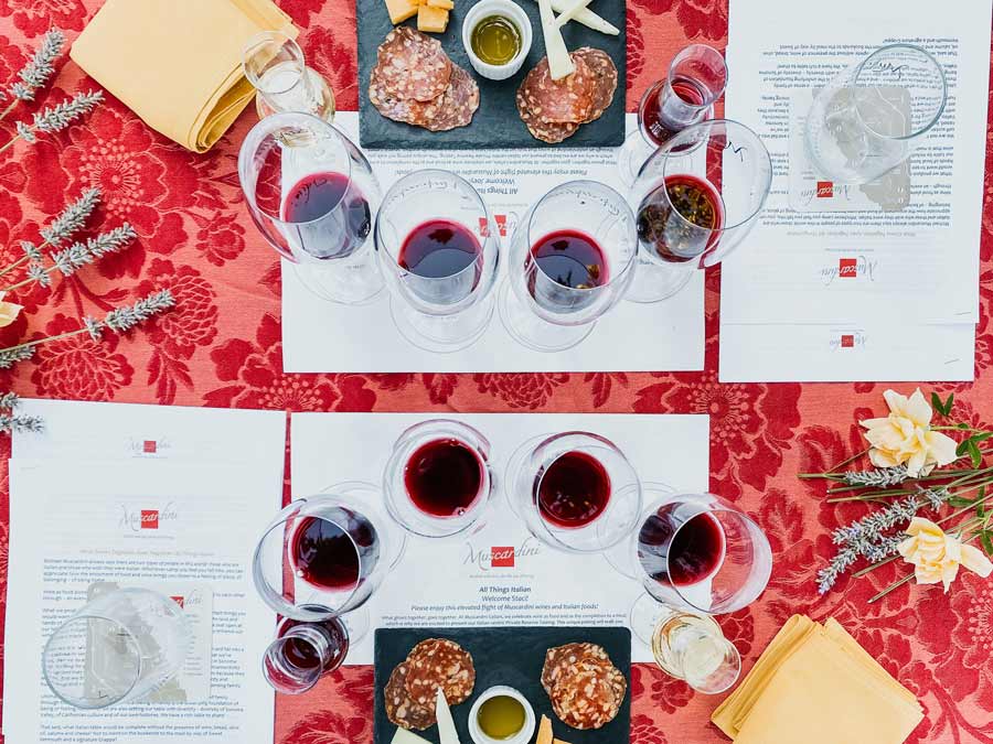 Glasses of red wines and snacks lined up for a tasting