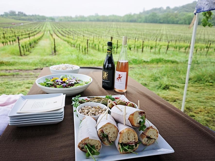 wine picnic looking out at vineyards