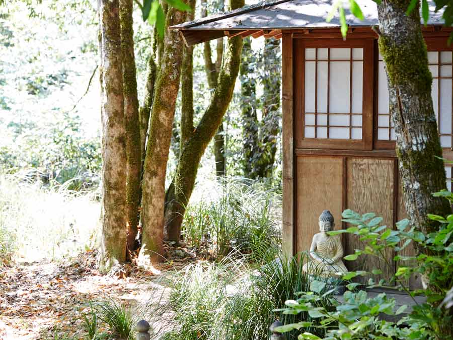 A Japanese style pagoda is surrounded by trees