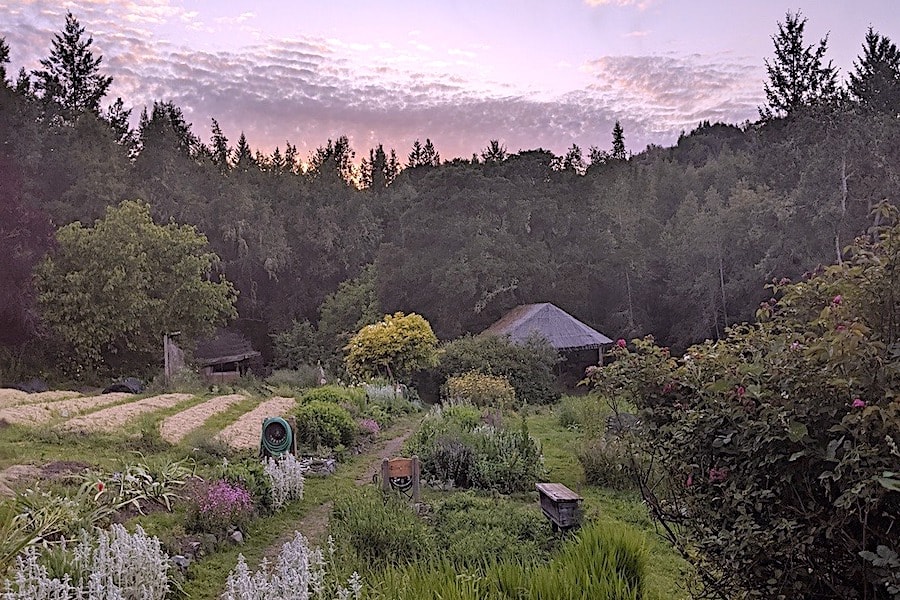 Garden at the Occidental Arts & Ecology Center, at the first light of dawn