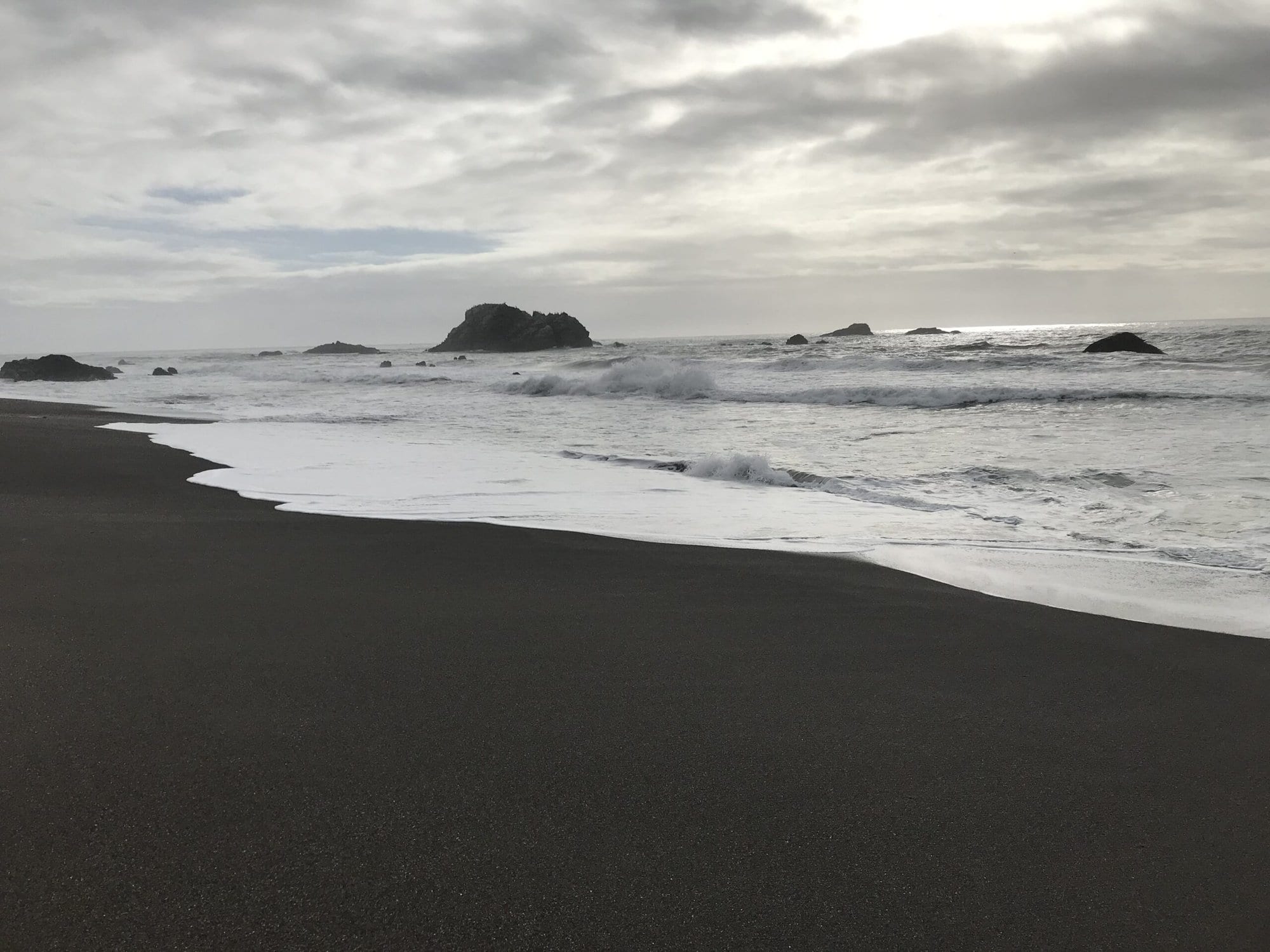 Sonoma County Coast